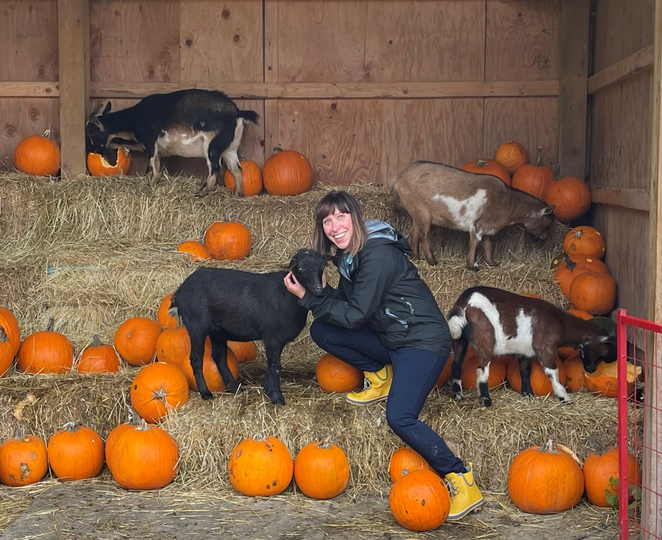 Lifestyle | Fall Events and Happenings in the Sea to Sky Corridor